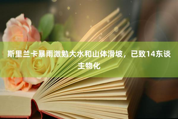 斯里兰卡暴雨激勉大水和山体滑坡，已致14东谈主物化