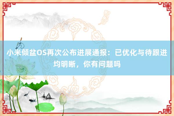 小米倾盆OS再次公布进展通报：已优化与待跟进均明晰，你有问题吗