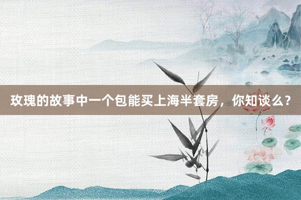 玫瑰的故事中一个包能买上海半套房，你知谈么？