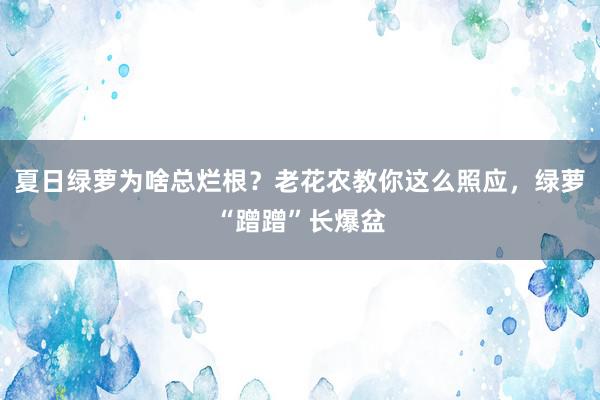 夏日绿萝为啥总烂根？老花农教你这么照应，绿萝“蹭蹭”长爆盆