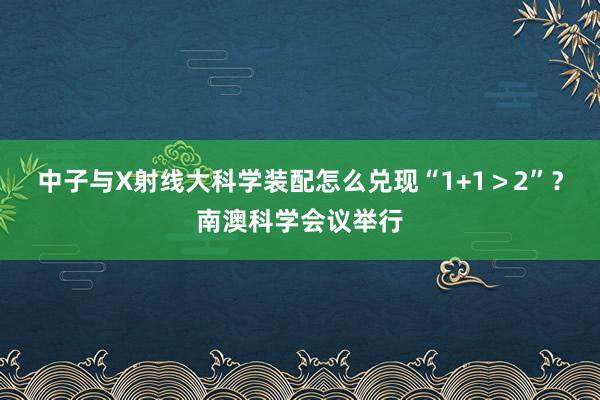 中子与X射线大科学装配怎么兑现“1+1＞2”？南澳科学会议举行