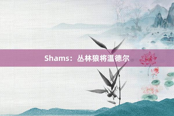 Shams：丛林狼将温德尔