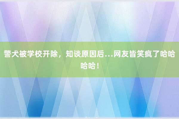 警犬被学校开除，知谈原因后…网友皆笑疯了哈哈哈哈！