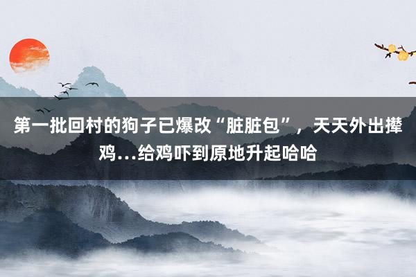 第一批回村的狗子已爆改“脏脏包”，天天外出撵鸡…给鸡吓到原地升起哈哈