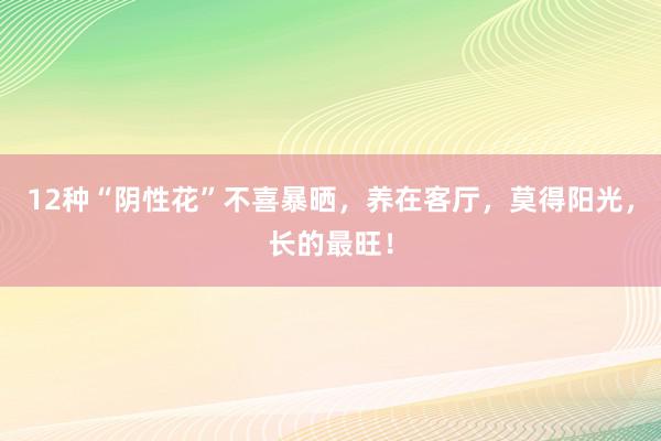 12种“阴性花”不喜暴晒，养在客厅，莫得阳光，长的最旺！