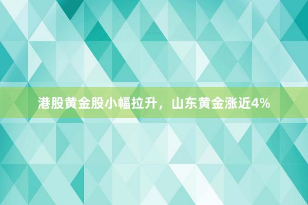 港股黄金股小幅拉升，山东黄金涨近4%