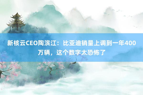 新核云CEO陶滨江：比亚迪销量上调到一年400万辆，这个数字太恐怖了