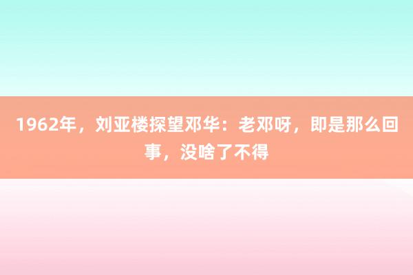 1962年，刘亚楼探望邓华：老邓呀，即是那么回事，没啥了不得