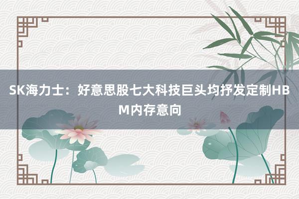 SK海力士：好意思股七大科技巨头均抒发定制HBM内存意向