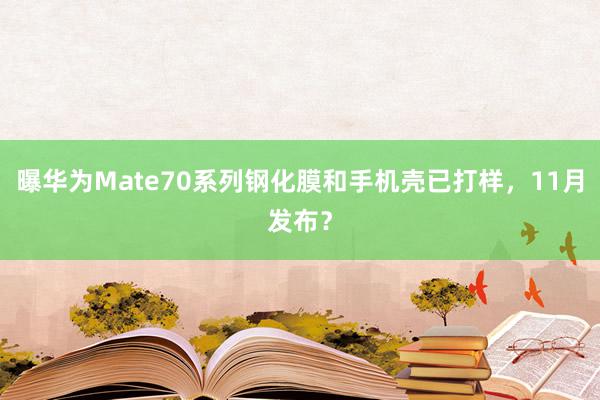 曝华为Mate70系列钢化膜和手机壳已打样，11月发布？