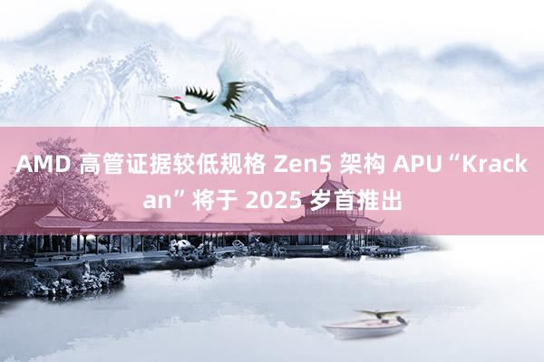 AMD 高管证据较低规格 Zen5 架构 APU“Krackan”将于 2025 岁首推出