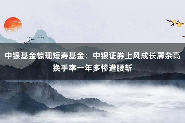 中银基金惊现短寿基金：中银证券上风成长羼杂高换手率一年多惨遭腰斩