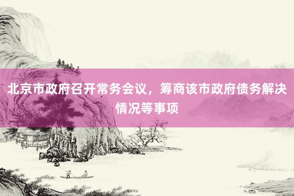 北京市政府召开常务会议，筹商该市政府债务解决情况等事项