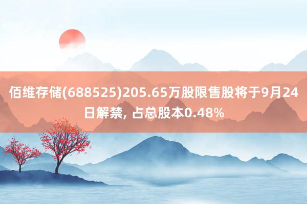 佰维存储(688525)205.65万股限售股将于9月24日解禁, 占总股本0.48%