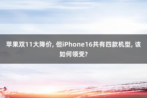 苹果双11大降价, 但iPhone16共有四款机型, 该如何领受?