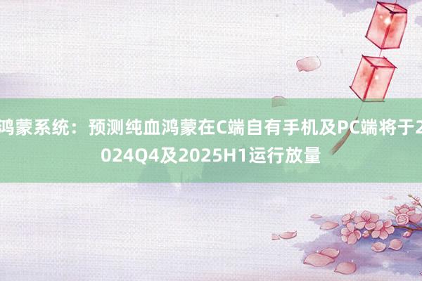 鸿蒙系统：预测纯血鸿蒙在C端自有手机及PC端将于2024Q4及2025H1运行放量