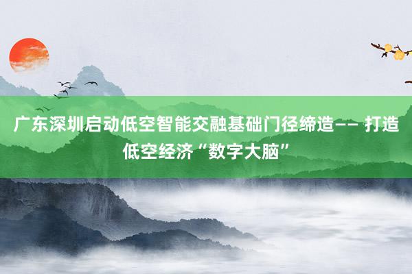 广东深圳启动低空智能交融基础门径缔造—— 打造低空经济“数字大脑”