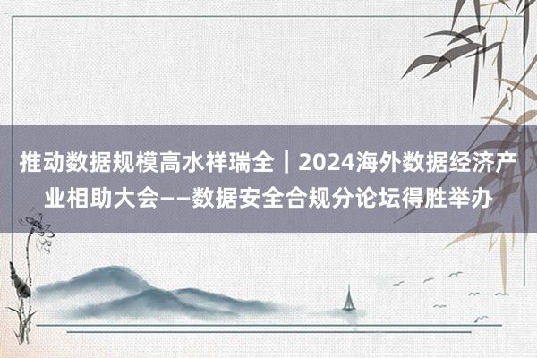 推动数据规模高水祥瑞全｜2024海外数据经济产业相助大会——数据安全合规分论坛得胜举办