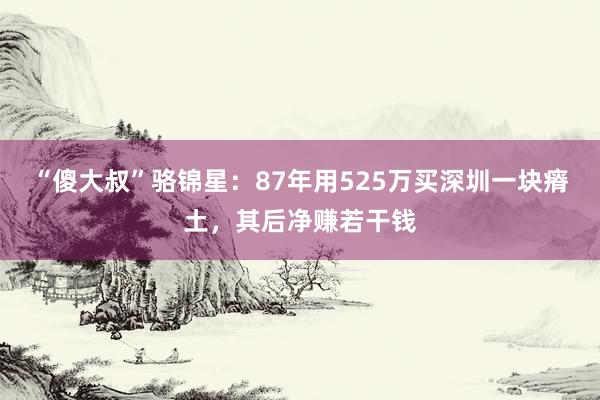 “傻大叔”骆锦星：87年用525万买深圳一块瘠土，其后净赚若干钱