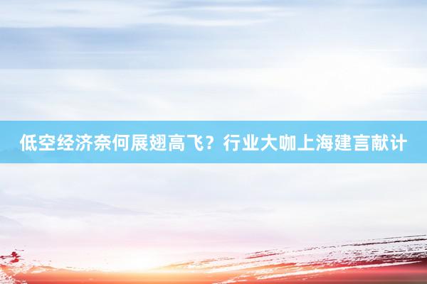 低空经济奈何展翅高飞？行业大咖上海建言献计